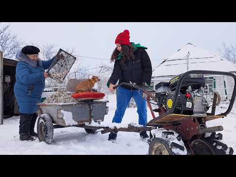How We Sold Our Harvest at the Market with Grandma