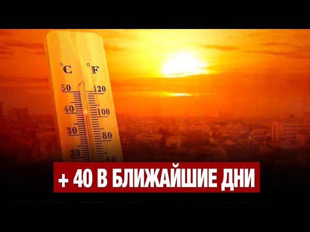 +40 обещают синоптики в ближайшие дни