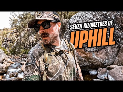 The Lower Portals Hike — Wild Weekend at Mt Barney & Rathdowney