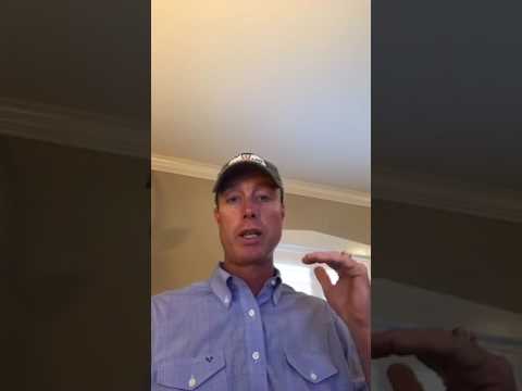 Keep Your Foal Healthy During the First Week of Life