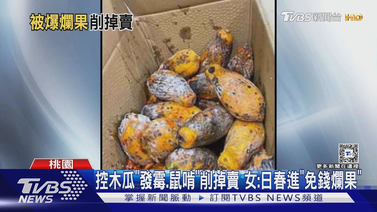 控木瓜「發霉、鼠啃」削掉賣 女:日春進「免錢爛果」
