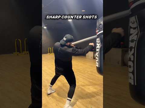 Sharp counter shot!#კრივი #boxing #makho_boxing #martialarts #boxingshorts #combo #fighter #drill