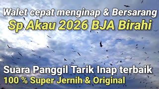 Download lagu SP AKAU 2026 BJA BIRAHI. suara walet panggil tarik inap terbaik super jernih mp3 Download lagu SP AKAU 2026 BJA BIRAHI. suara walet panggil tarik inap terbaik super jernih mp3
