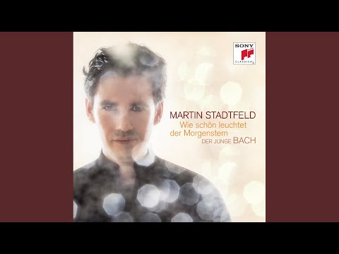 Toccata and Fugue in D Minor, BWV 565: I. Toccata