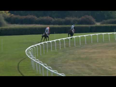 Őszi Gátverseny 3200m