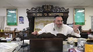 הרב דניאל אלול - פרשת וישלח - התשפ"ה (ישיבת שעלבים) - התמונה מוצגת ישירות מתוך אתר האינטרנט יוטיוב. זכויות היוצרים בתמונה שייכות ליוצרה. קישור קרדיט למקור התוכן נמצא בתוך דף הסרטון