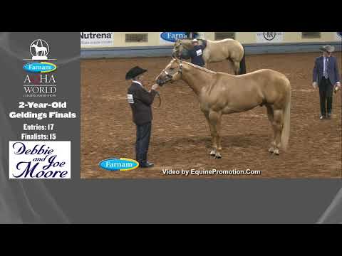 2021 Farnam AQHA World Show - Norick Arena