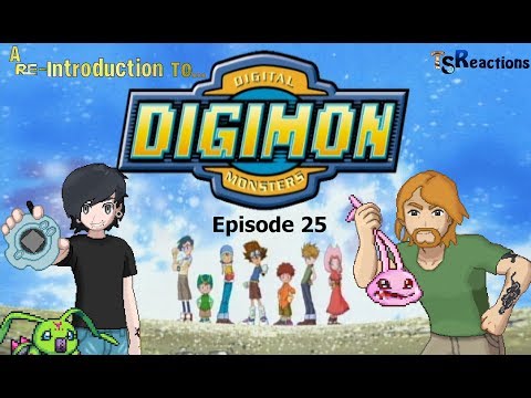 Reisu Redigitized  Digimon Adventure Episode 25 Reaction Best Of
