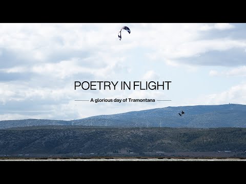 Poetry in Flight