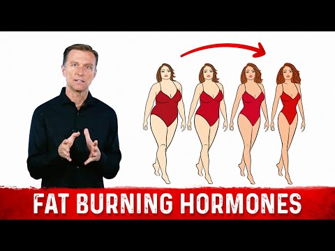 The Ultimate Fat Burning Guide Dr Berg s Webinar on Maximum Weight Loss