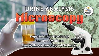 Urine Analysis and Micrscopy