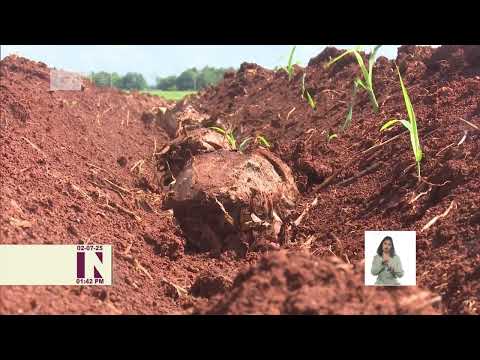 Cuba: Recuperación Agropecuaria Lenin de Jovellanos