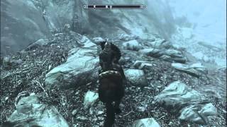 Посмотрите на лису :) (Skyrim)