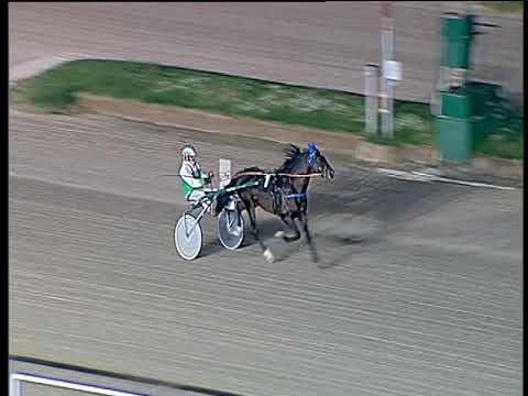 Trotto 10/11/2019 - prova di riqualifica