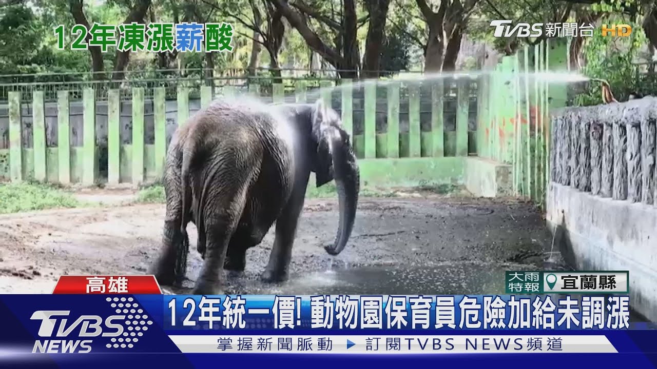 動物園照顧獅、象「危險加給」12年未調漲 保育員嘆低薪