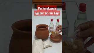Download lagu Perlengkapan ngubur ari-ari bayi#shorts mp3 Download lagu Perlengkapan ngubur ari-ari bayi#shorts mp3