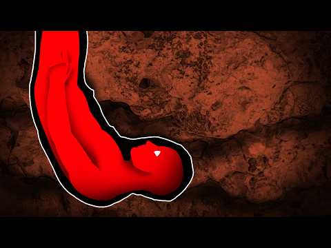 Do Not Enter These Caves | Caving Exploring Gone Wrong Marathon