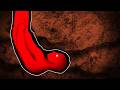 Do Not Enter These Caves Caving Exploring Gone Wrong Marathon