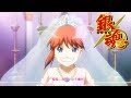 Gintama - Ending 28 | Hankou Seimei