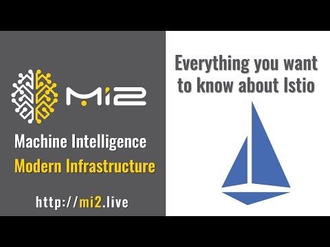 Everything you want to know about Istio