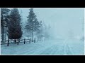 Intense Blizzard In The Mountains Heavy Wind Sounds For Sleeping Howling Wind Blowing Snow