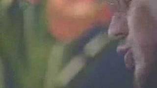 Mr. Waits presenta: A tu vuelta (Fernando Delgadillo)