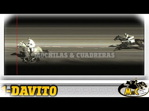 DAVITO - 02-11-25 - VERA Y PINTADO - M&C