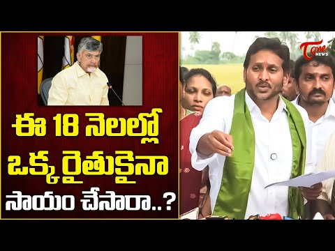 ఈ 18 నెలల్లో ఒక్క రైతుకైనా సాయం చేసారా.. ! | YS Jagan Press Meet from Krishna District | TOne News
