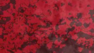 Doubting Thomas - Steps