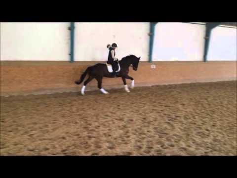 4j. Wallach v. Millennium