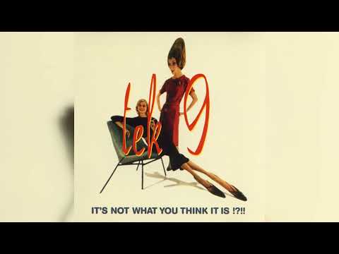 Tek 9 - It's Not What You Think It Is !?!! (Downtempo, Trip Hop, Drum & Bass) (1996)
