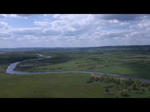 Malownicza Noteć 4K | Picturesque River Noteć, Poland 4K