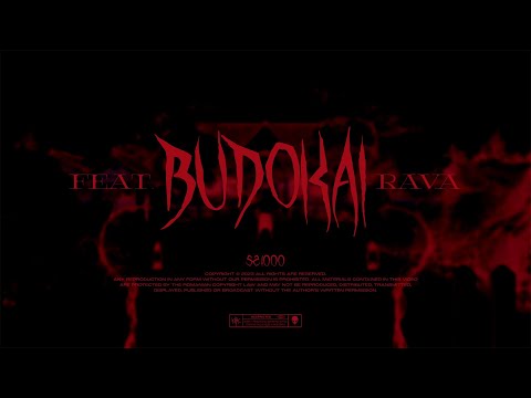 Video thumbnail for Budokai