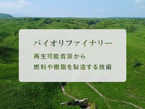 『ココカラ』Research20【植物から作る革新的なプラスチック！】/金沢大学研究紹介動画