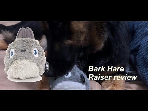 Bark Hare Raiser Review