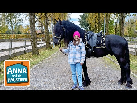 Friese | Information für Kinder | Anna und die Haustiere