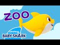Welcome To The Phonics Zoo Baby Shark S ABC Song Learn ABCs With Baby Shark Official