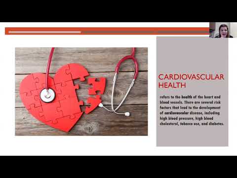 Your Cardiovascular Health