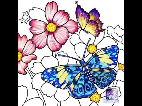 beautyful flower's.... awesome