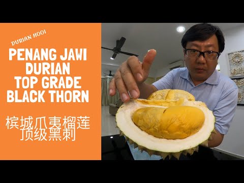 Durian Hooi: Penang Jawi Durian Top Grade Black Thorn