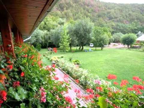 Vegetatia in bazinul Galda de Jos