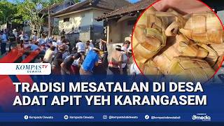 Download lagu Tradisi Mesatalan Di Desa Adat Apit Yeh Karangasem mp3 Download lagu Tradisi Mesatalan Di Desa Adat Apit Yeh Karangasem mp3