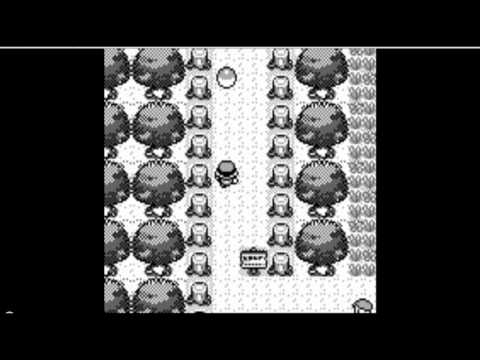 Guida Pokémon Rosso-Parte 1-Il primo pokémon,la prima cattura e la prima medaglia!
