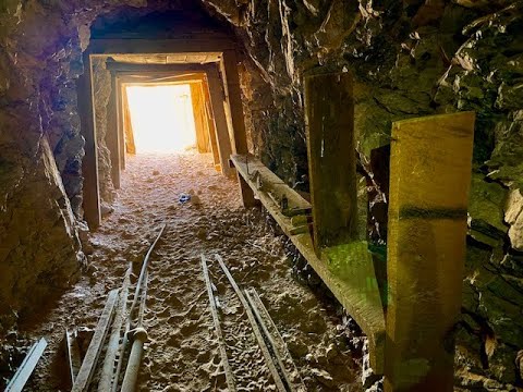 Finding the Secret Resident of the Crystal Palace Mine: A Ring-Tailed Cat!