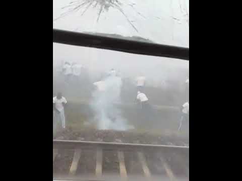 🇩🇪 Germany 26/10/24 (3.Liga)Hansa Rostock - Rot-Weiss Essen» Hansa attack the train with RWE fans