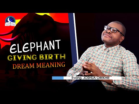Elephant Giving Birth Dream Meaning with Biblical Interpretations