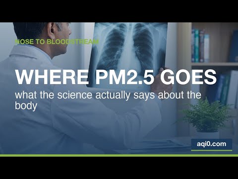 What Happens to PM2.5 After You Breathe It In - The Journey from Nose to Bloodstream