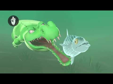 CGI 3D Animated Short Animation : "Catch The Fish" - by Animation Primal Entertainment Studio