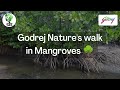 Godrej Nature S Walk In Mangroves By SIE CLUB