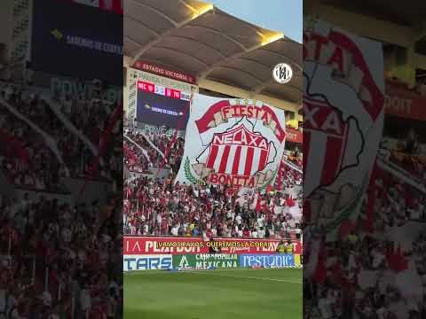 "¡Nuestra hinchada!" Barra: Comando Rojiblanco &bull; Club: Club Necaxa